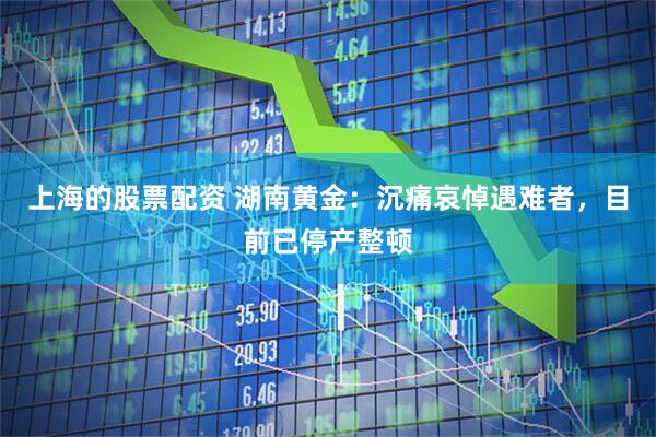 上海的股票配资 湖南黄金：沉痛哀悼遇难者，目前已停产整顿