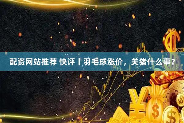 配资网站推荐 快评丨羽毛球涨价，关猪什么事？