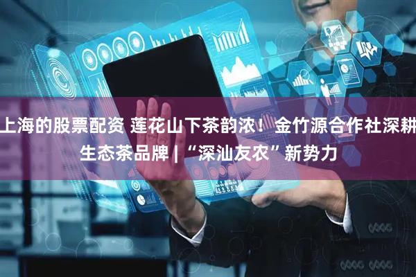 上海的股票配资 莲花山下茶韵浓！金竹源合作社深耕生态茶品牌 | “深汕友农”新势力