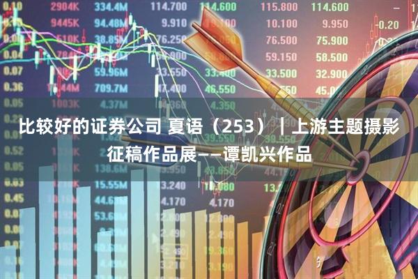 比较好的证券公司 夏语(253)|上游主题摄影征稿作品展——谭凯兴作品