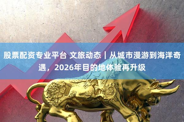 股票配资专业平台 文旅动态｜从城市漫游到海洋奇遇，2026年目的地体验再升级